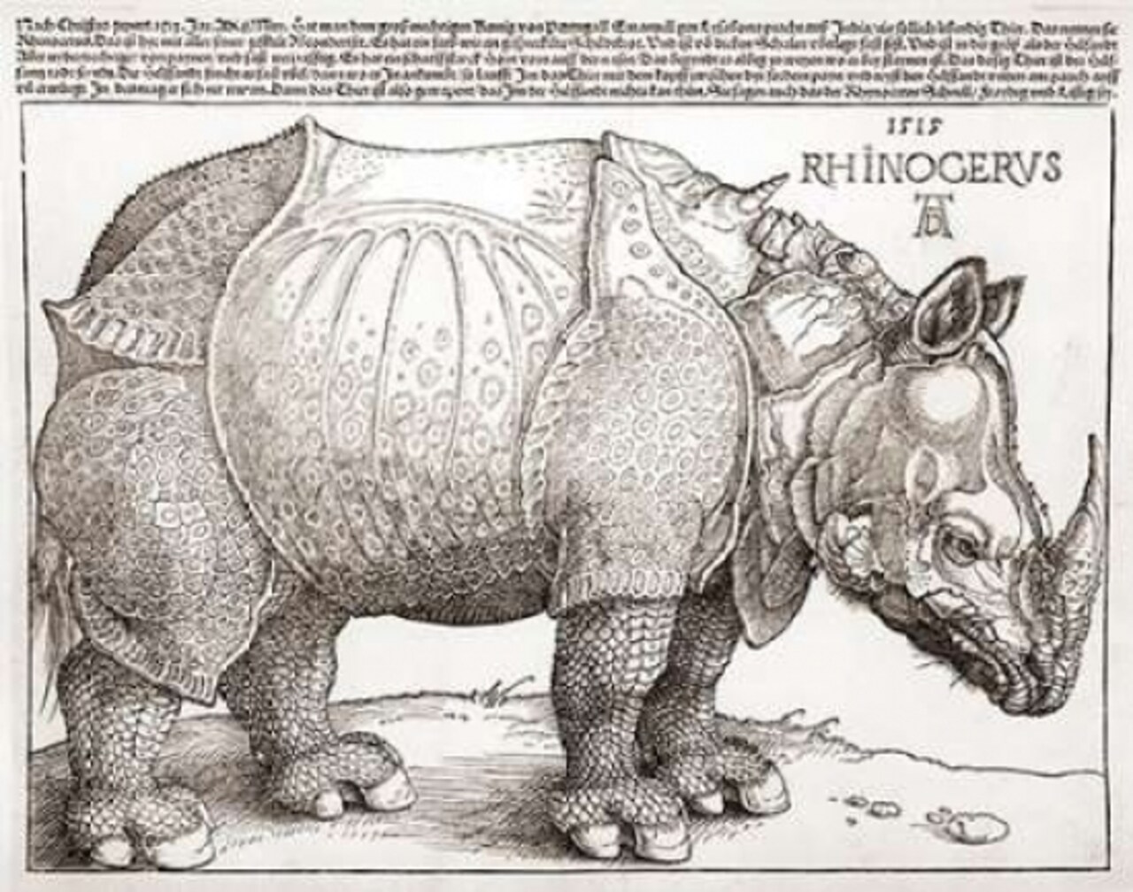 The Rhinoceros Poster Print by Albrecht Durer - Item # VARPDX264858